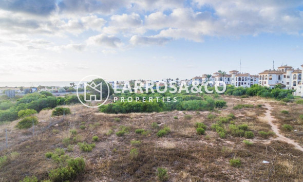 Nieuwbouw Woningen - Apartment - Orihuela costa - Playa Flamenca