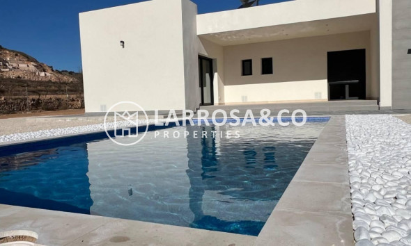 New build - Detached House/Villa - Hondon de las Nieves - La Canalosa