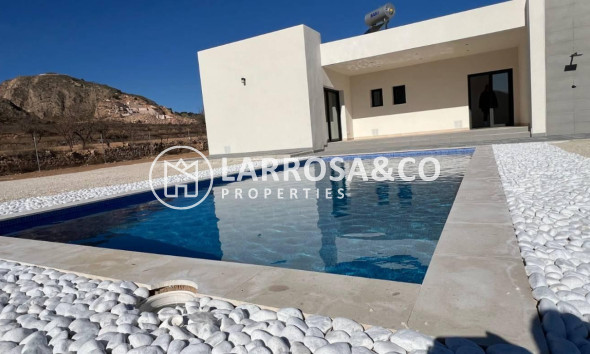 New build - Detached House/Villa - Hondon de las Nieves - La Canalosa