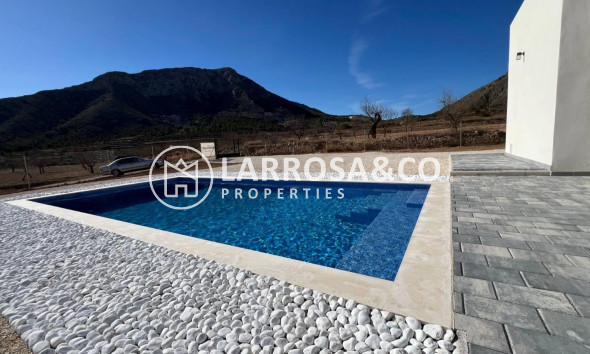 New build - Detached House/Villa - Hondon de las Nieves - La Canalosa