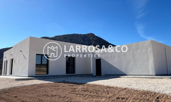 Nieuwbouw Woningen - Villa - Hondon de las Nieves - La Canalosa