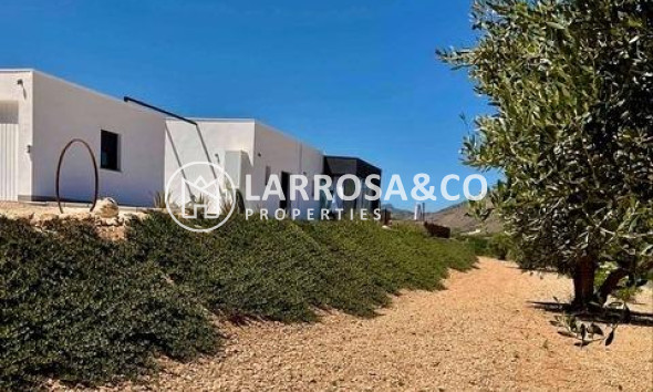 New build - Detached House/Villa - Hondon de las Nieves - La Canalosa