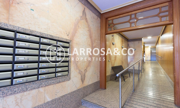 Herverkoop - Commercial space - Orihuela - Zona Centro