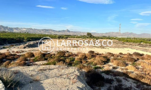 Resale - Land/Plots - Benferri - Campo