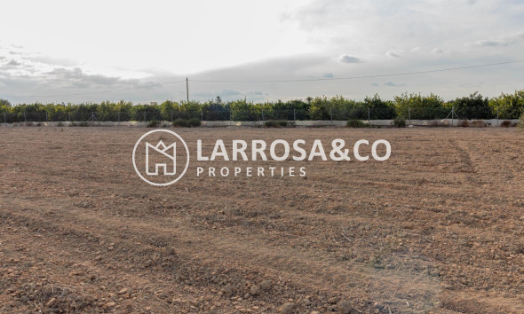 Resale - Land/Plots - Benferri - Campo