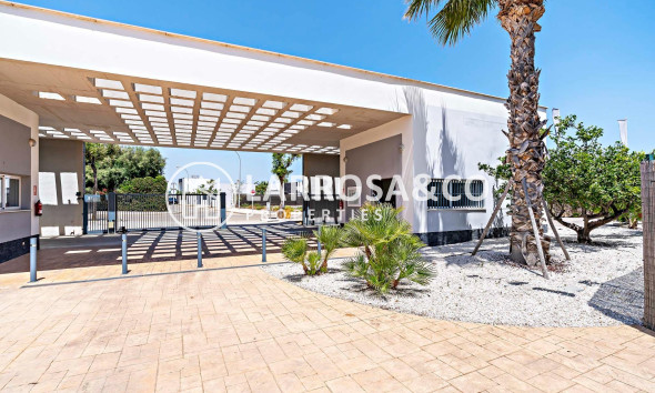 Obra Nueva - Apartamento - Vera - Vera playa