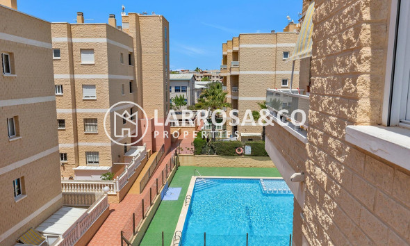 A Vendre - Apartment - Torrevieja - Sector 25