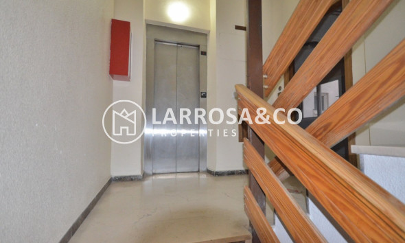 Resale - Apartment - Torrevieja - Centro