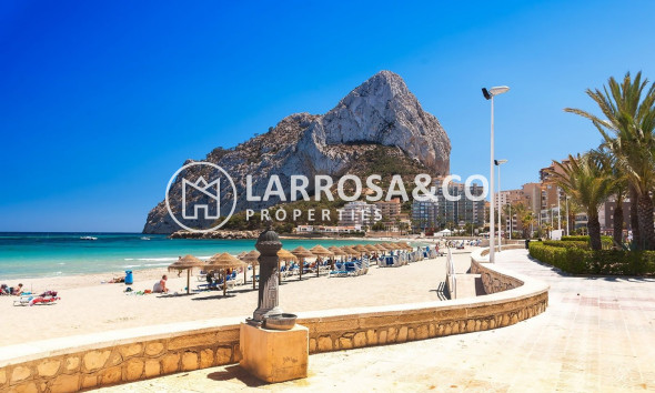 Nieuwbouw Woningen - Villa - Calpe - Pla roig