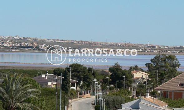 New build - Detached House/Villa - Los Montesinos - La Herrada