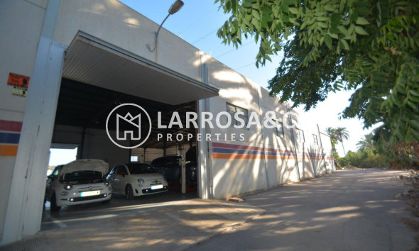 Resale - Industrial Field - Orihuela - Correntías Bajas