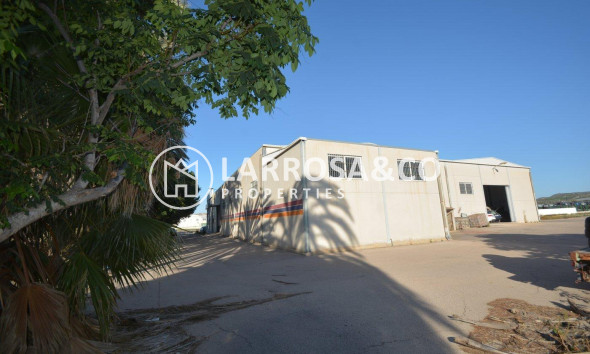 Reventa - Industrial - Orihuela - Correntías Bajas