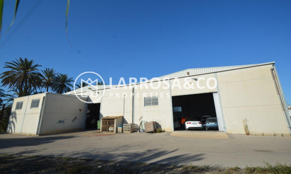 Resale - Industrial Field - Orihuela - Correntías Bajas