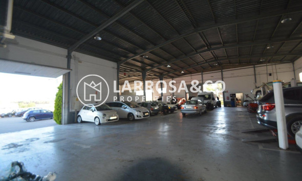 Resale - Industrial Field - Orihuela - Correntías Bajas