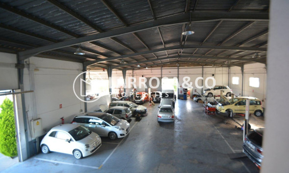 Resale - Industrial Field - Orihuela - Correntías Bajas