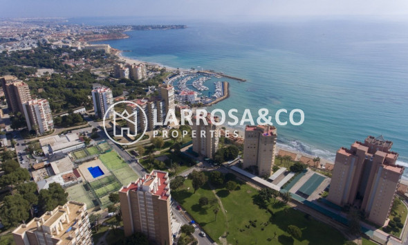 Nouvelle Construction - Penthouse  - Orihuela costa - Campoamor