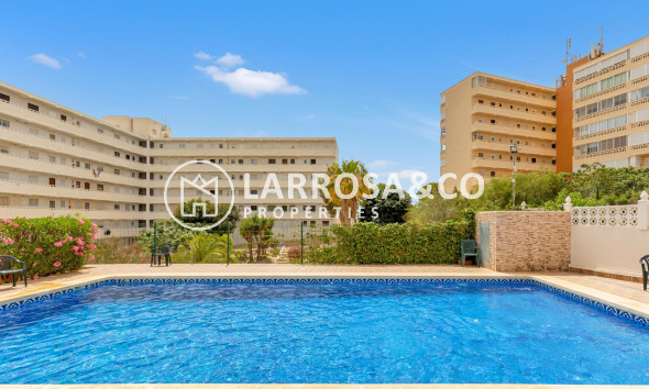 A Vendre - Penthouse  - Torrevieja - Torre la mata