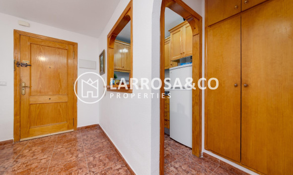 Reventa - Apartamento - Torrevieja - Habaneras