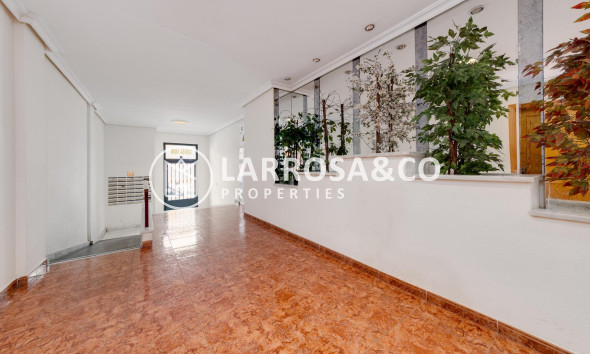 Resale - Apartment - Torrevieja - Habaneras