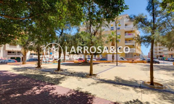 Reventa - Apartamento - Torrevieja - Habaneras