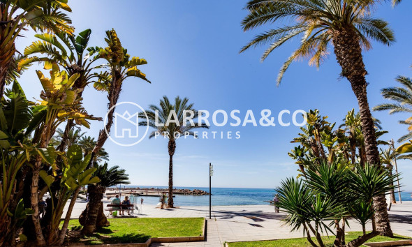 Resale - Apartment - Torrevieja - Habaneras