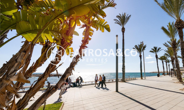 Resale - Apartment - Torrevieja - Habaneras