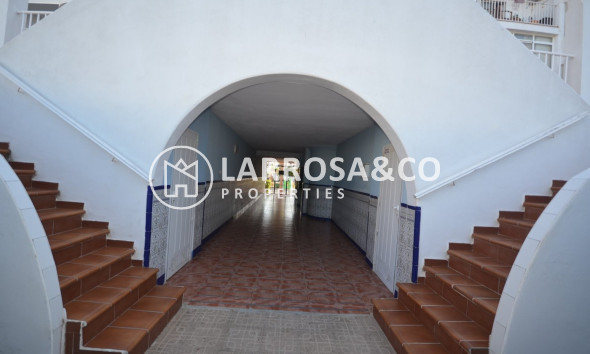 Вторичный рынок - Квартира - Торревьеха - Torrejón