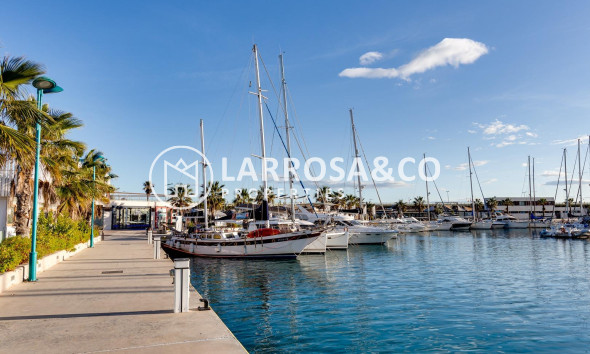 Herverkoop - Apartment - Torrevieja - Playa del cura