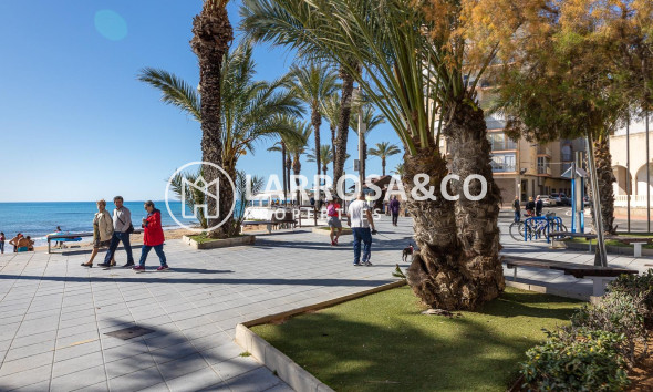 Herverkoop - Apartment - Torrevieja - Playa del cura