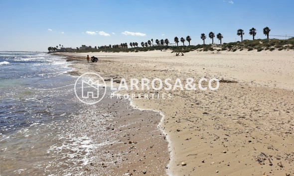 Nouvelle Construction - Bungalow - Pilar de la Horadada - La Torre de la Horadada