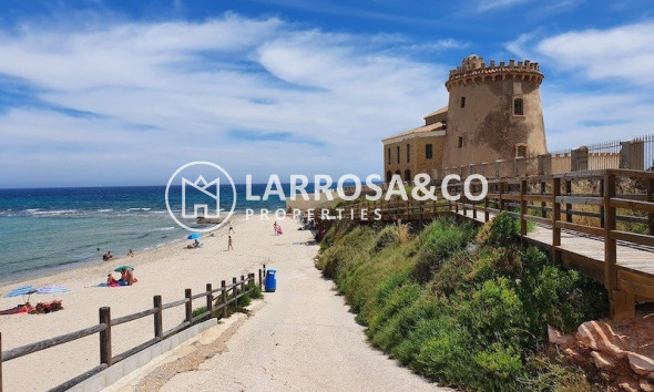 Obra Nueva - Bungalow - Pilar de la Horadada - La Torre de la Horadada