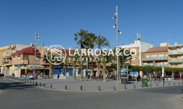 Obra Nueva - Bungalow - Pilar de la Horadada - La Torre de la Horadada