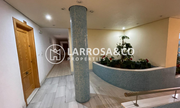 Herverkoop - Apartment - Torrevieja - Estacion de autobuses