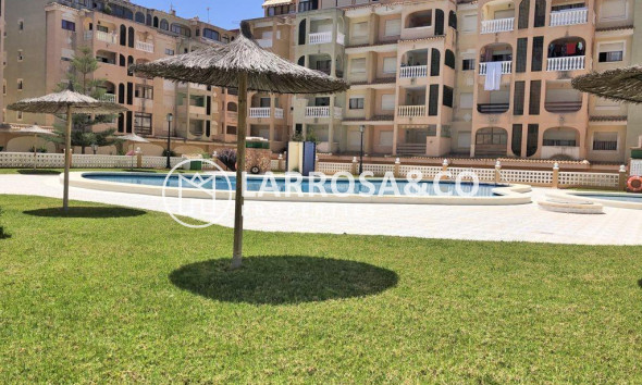 Reventa - Apartamento - Torrevieja - Parque las naciones