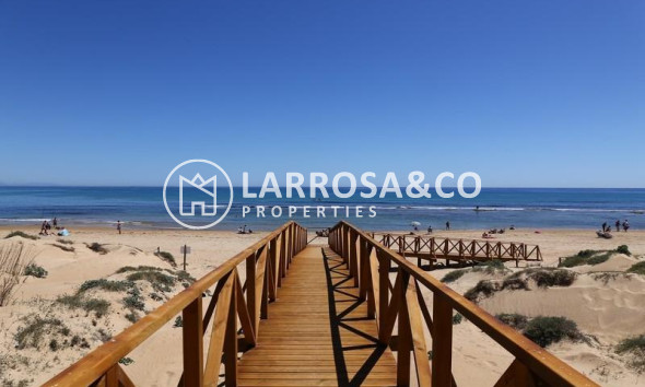 Nieuwbouw Woningen - Penthouse  - Torrevieja - La Mata