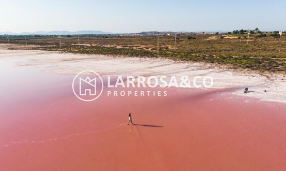 Obra Nueva - Atico - Torrevieja - La Mata