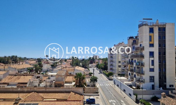 Reventa - Apartamento - Torrevieja - Nueva Torrevieja