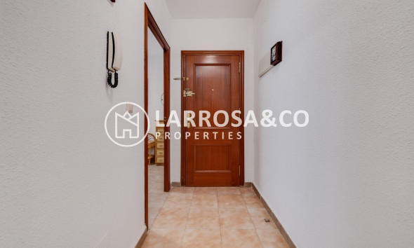 Resale - Apartment - Torrevieja - Los Locos Beach