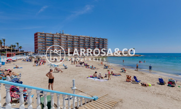 Reventa - Apartamento - Torrevieja - Playa Los Locos