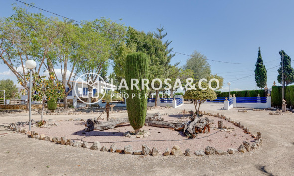 Resale - Detached House/Villa - Orihuela - Correntías Bajas