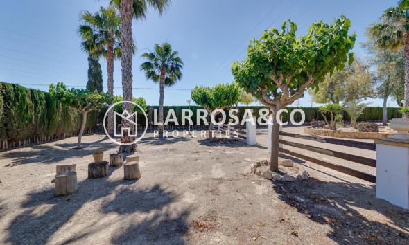 Resale - Detached House/Villa - Orihuela - Correntías Bajas