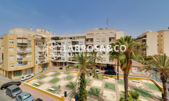 Reventa - Apartamento - Torrevieja - Centro