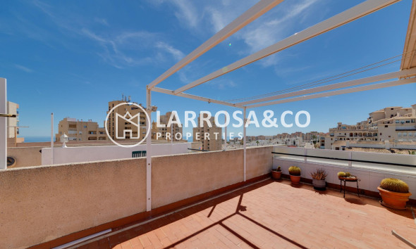 Reventa - Duplex - Torrevieja - Torre la mata