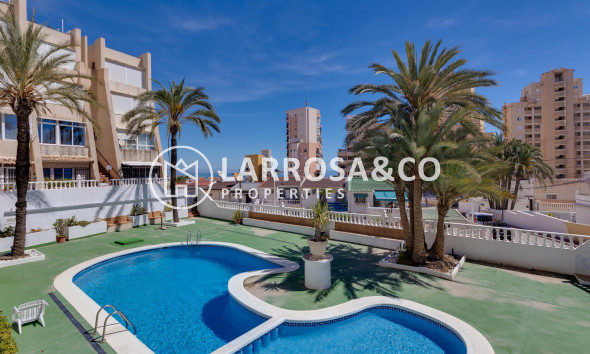 Reventa - Duplex - Torrevieja - Torre la mata