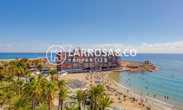 Resale - Apartment - Torrevieja - Los Locos Beach