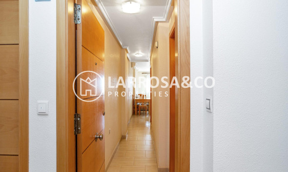 A Vendre - Apartment - Torrevieja - Centro