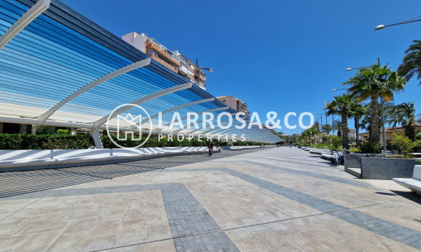 Obra Nueva - Atico - Torrevieja - Playa Los Locos