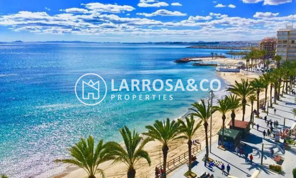 Obra Nueva - Apartamento - Torrevieja - Playa Los Locos