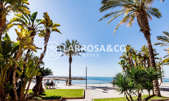 A Vendre - Apartment - Torrevieja - Playa del cura