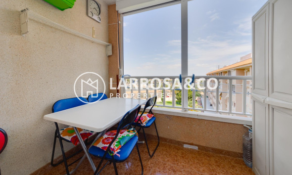 Reventa - Apartamento - Torrevieja - Centro